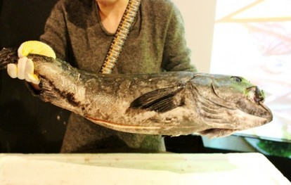 珍怪魚 ギョギョッ 世にも恐ろしい グロ魚 が衝撃的にウマかった 写真満載 4 5 ヤバチケ
