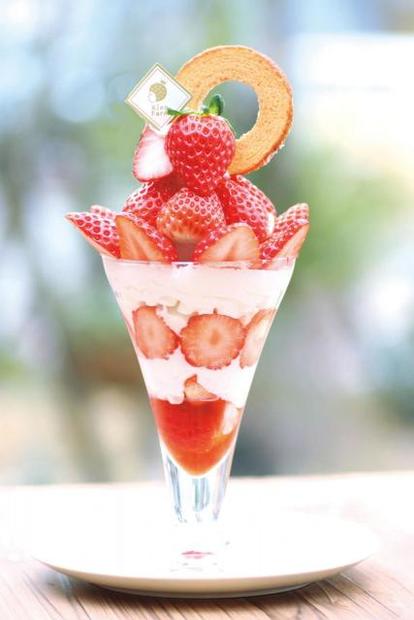 贅沢すぎる「いちご農園のいちごスイーツ」8選！ “超限定パフェ＆特大