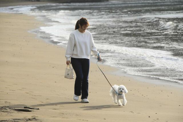 楽しみ方イメージ【ゆるり西伊豆】