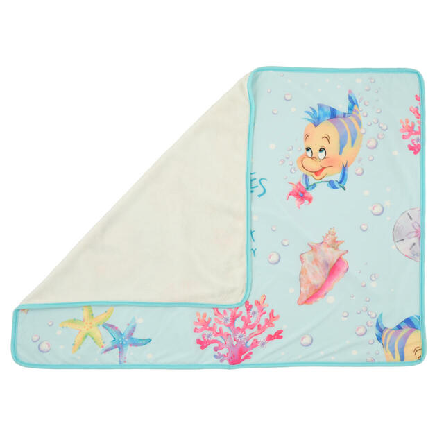 ブランケット ケース入り Disney Cool Goods 5,000円