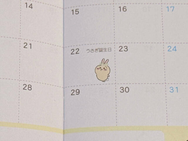 1月22日はうさぎのお誕生日♪誇らしげなポーズがかわいい!