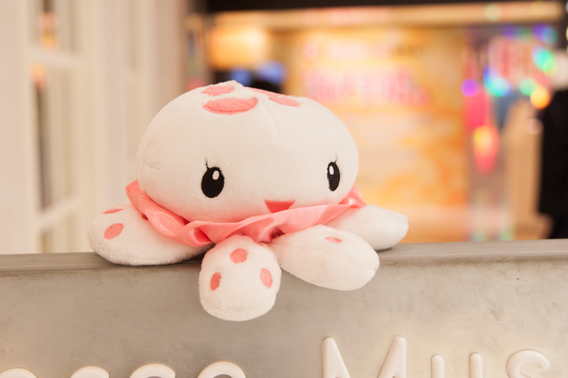 ※筆者が持参したアニメ版ブルーレイ初回特典のクララのぬいぐるみ（非売品）