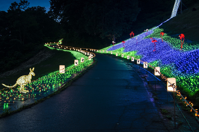 アパリゾート上越妙高「アパリュージョン2019」ナイトサファリアニマルロード