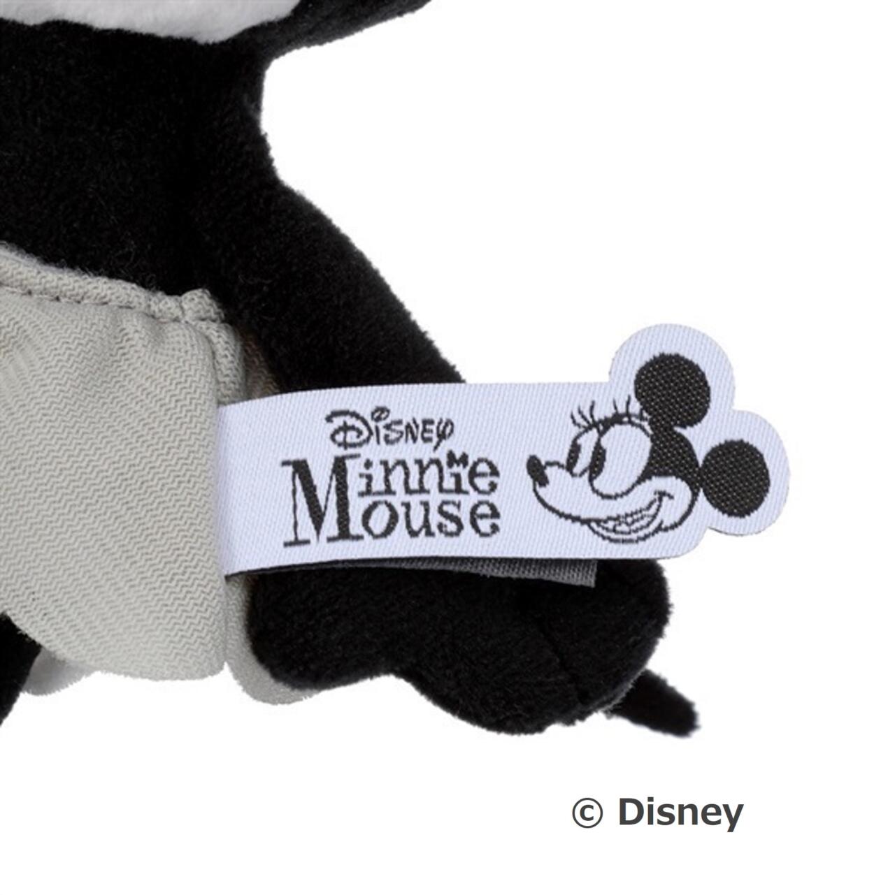 超超　激レア‼️ 東京ディズニーランド ミレニアムグッズ♡ 知ってる？】全国の“イオン限定”！ミッキー＆ミニーの激レアグッズが超