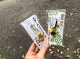 【小網神社】「強運厄除みみずく御守」800円と「福亀 銭亀守り」600円