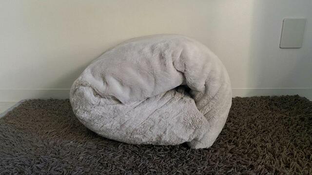 【ニトリ　入れるクッション】「入れるクッション」を出してみました