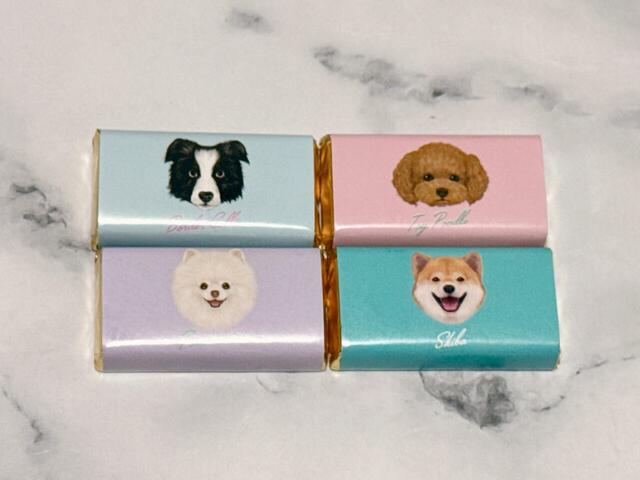 【カルディ ドッグ メモパット チョコレート】チョコレートのパッケージにもさまざまなワンちゃんが！