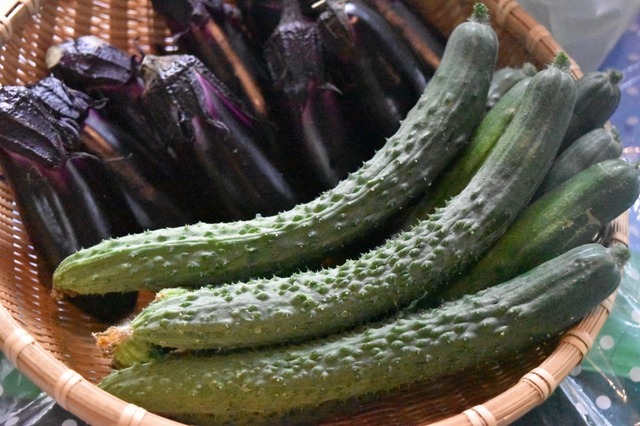 お土産に買って帰ることができる