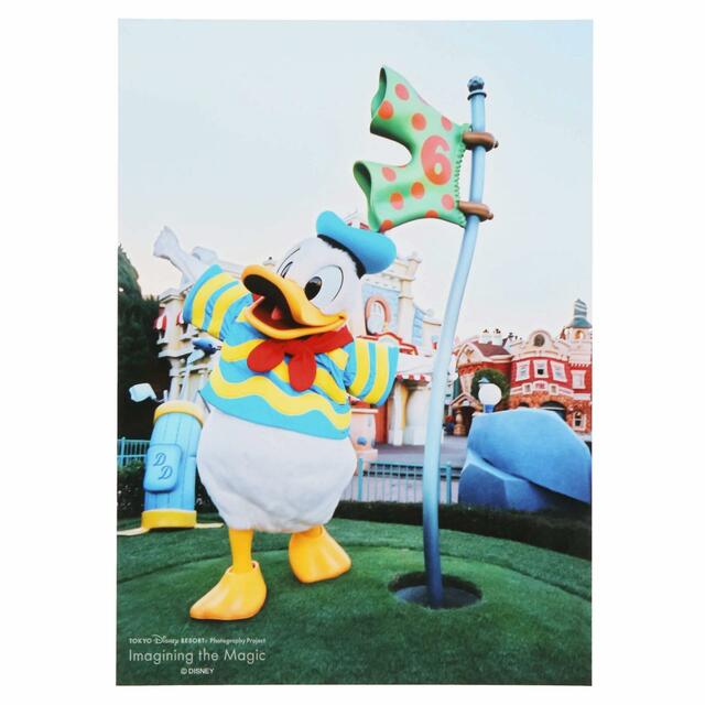 写真 500円|東京ディズニーリゾート・フォトグラフィープロジェクト「イマジニング・ザ・マジック」第2弾グッズ|東京ディズニーリゾート40周年“ドリームゴーラウンド”|発売日:2023年12月7日(木)|販売店舗:東京ディズニーランド「グランドエンポーリアム」、東京ディズニーシー「ヴァレンティーナズ・スウィート」