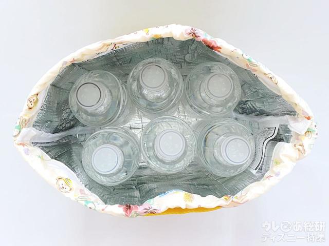 「 ダッフィー&フレンズのサニーファン」スーベニアランチケース