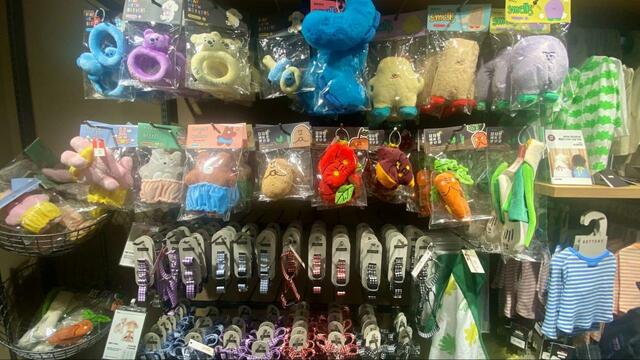【韓国の無印良品】日本の無印良品では見たことが無いペットグッズ