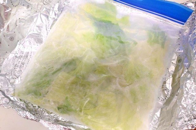 【野菜・肉の便利な冷凍保存術／レタス】1日冷凍したレタス