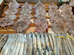 【韓国で行きたい都市・全州 vol.2】モレネ伝統市場の鮮魚店に並んでいたエイと太刀魚。全羅道でよく食べられている魚だ
