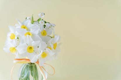 立春にお花を飾って 金運アップ しよう 花の種類や色 効果的な飾り方 8選 1 2 Mimot ミモット