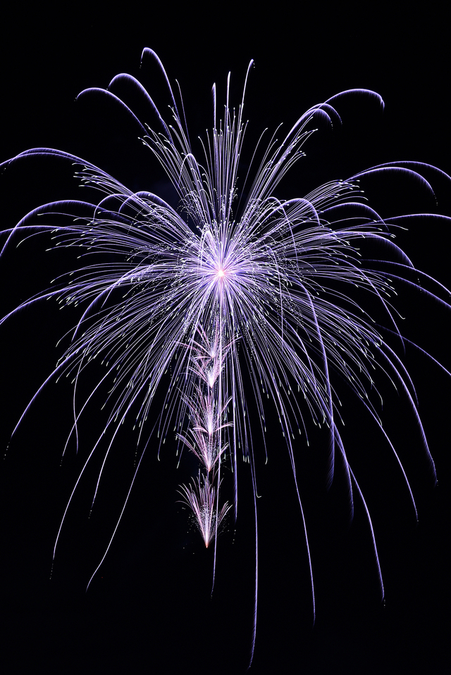 第10回フォトコンテストの入賞作品「繊細な華」