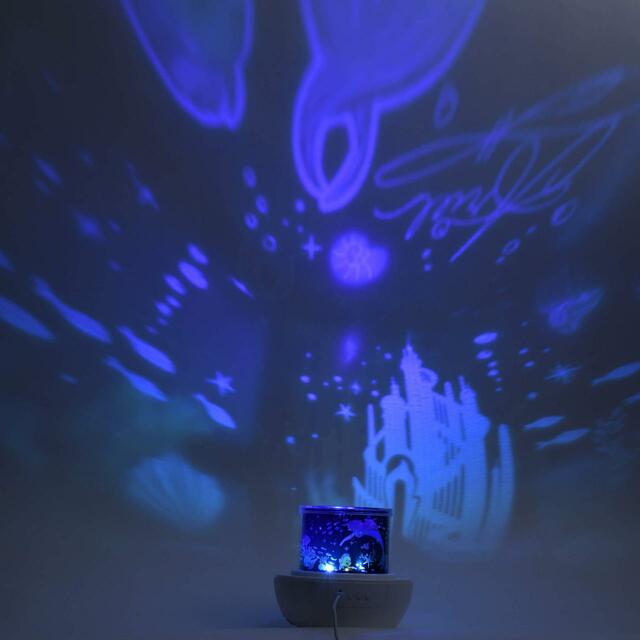 アリエル、フランダー、セバスチャン ルームプロジェクション Feeling Like Ariel 4,950円