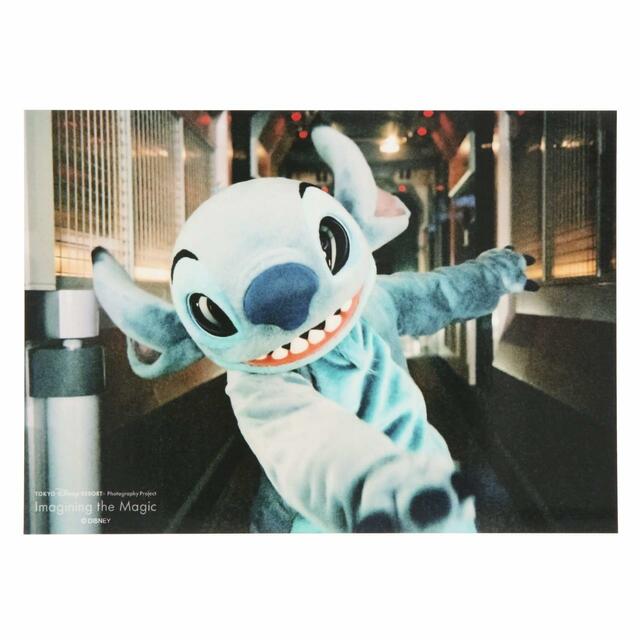 写真 500円|東京ディズニーリゾート・フォトグラフィープロジェクト「イマジニング・ザ・マジック」第2弾グッズ|東京ディズニーリゾート40周年“ドリームゴーラウンド”|発売日:2023年12月7日(木)|販売店舗:東京ディズニーランド「グランドエンポーリアム」、東京ディズニーシー「ヴァレンティーナズ・スウィート」