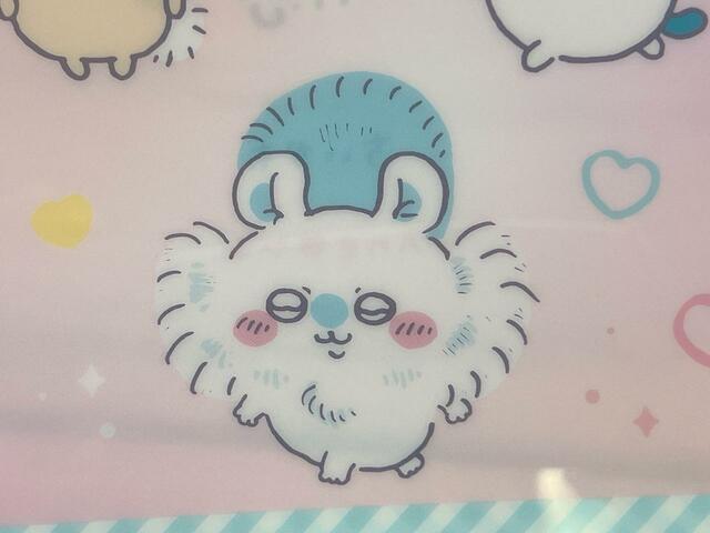 毛量が増えたモモンガ。いつもより強そうに見えます！