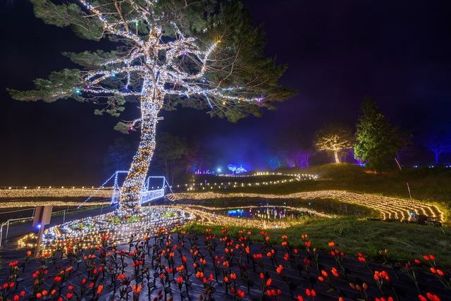 アパリゾート上越妙高イルミネーション2016