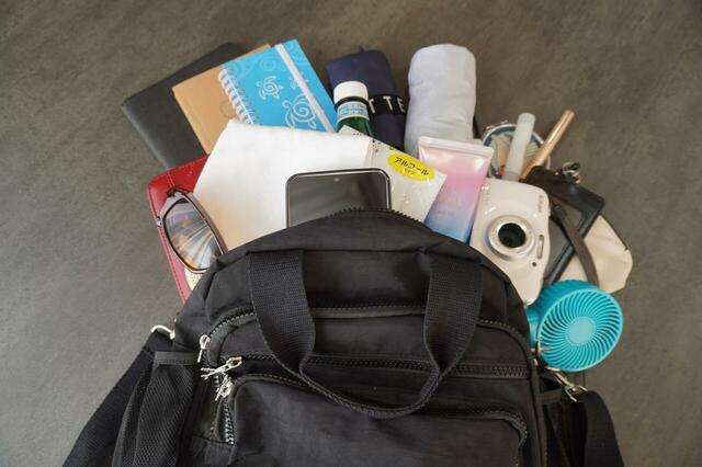 旅行の時に持ち歩きたい荷物が一通り入る