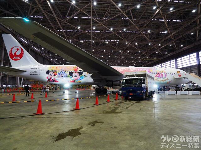 特別塗装機「JAL Colorful Dreams Express」