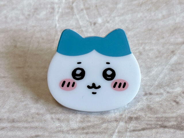 ハチワレはノーマルな表情♪