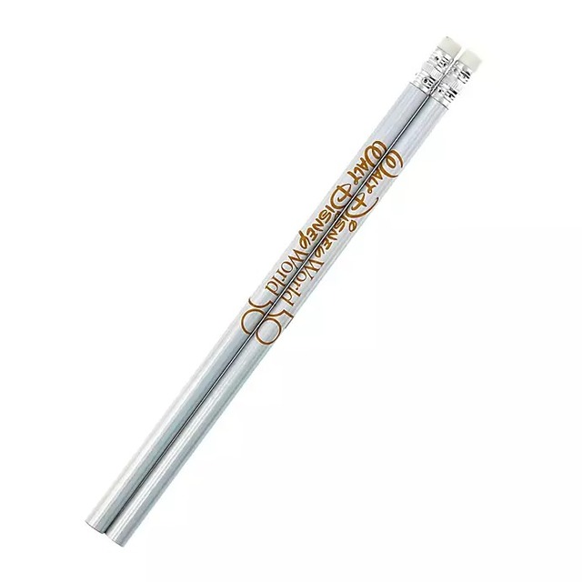 ミッキー リングノート・えんぴつ ウォルト・ディズニー WALT DISNEY World 50TH CASTLE 2,860円