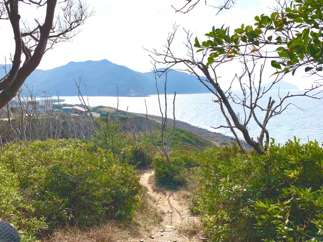 芥屋展望台から海岸遊歩道までの道からの眺望