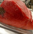 「数量限定 本マグロ」<期間:2026年6月13日〜>【本マグロが入った豪華刺身が食べ放題!話題の「漁港食堂 」が、西中島にオープン!6月中は「鰹のタタキ」を380円で提供!】