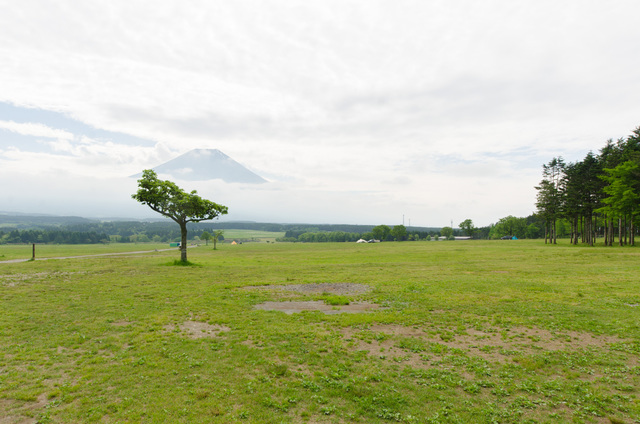 わずかな木陰は人気ですぐに埋まってしまう。夏場はタープの持参を｜静岡県富士宮市「ふもとっぱら」キャンプ場