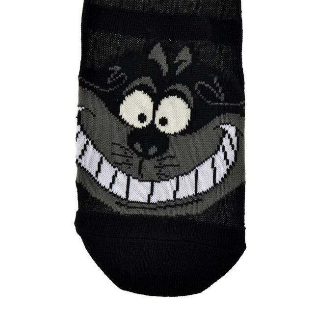 チェシャ猫 靴下 シースルー ブラック 23~25 CHESHIRE CAT 1,200円