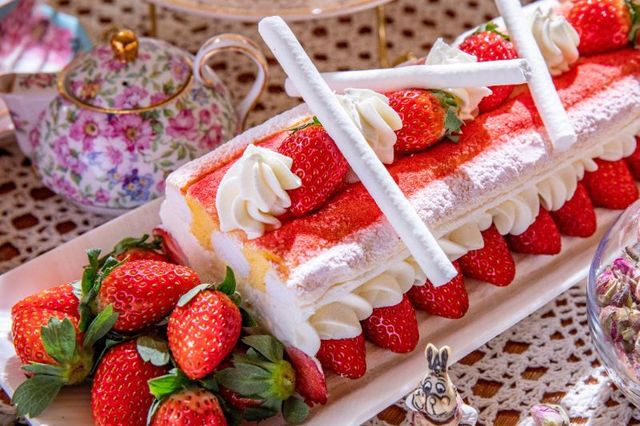 『RSVP.アリスからの招待状』