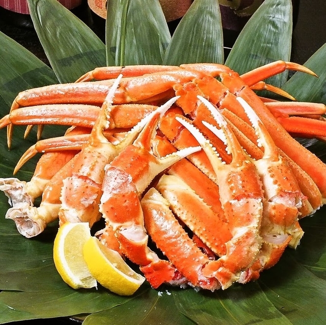 木村屋の新年会キャンペーン