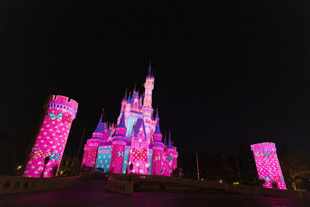 東京ディズニーランド｜「ディズニー・パルパルーザ“ミニーのファンダーランド”」 ｜ファンダーナイト