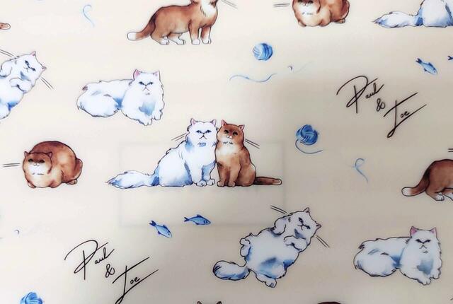 イラスト拡大図