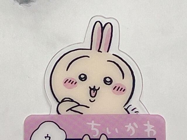 腕を組んで「ハァ？」と言っているうさぎがかわいい♪