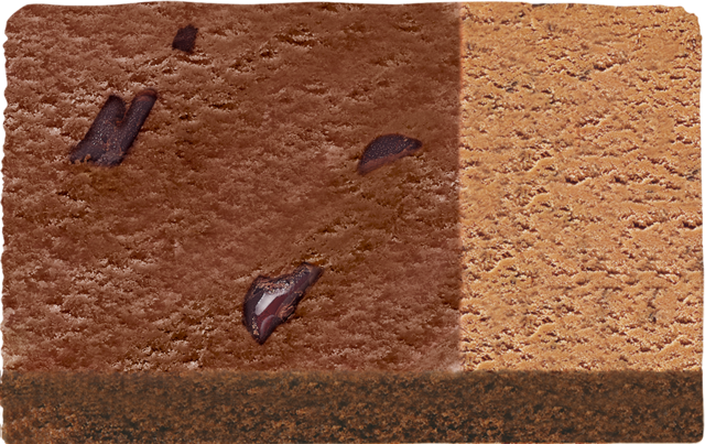 フォーキー｜ダークチョコビッツ入りチョコレート＋ミルクチョコレート（チョコレートスポンジ）