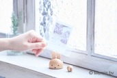 【ミッフィー新作木製雑貨】「ミッフィー フォトスタンド」2,420円／約89×63mmの写真がぴったり。設置も簡単です。
