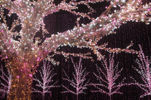 さがみ湖イルミリオン