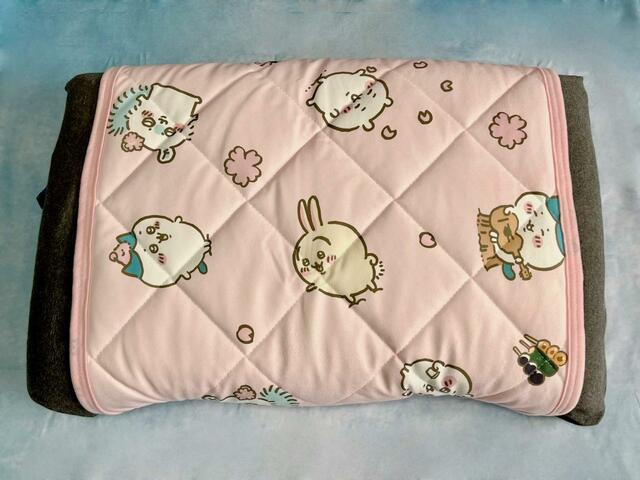 【アベイル】大きめのサイズの枕でも使えますよ！