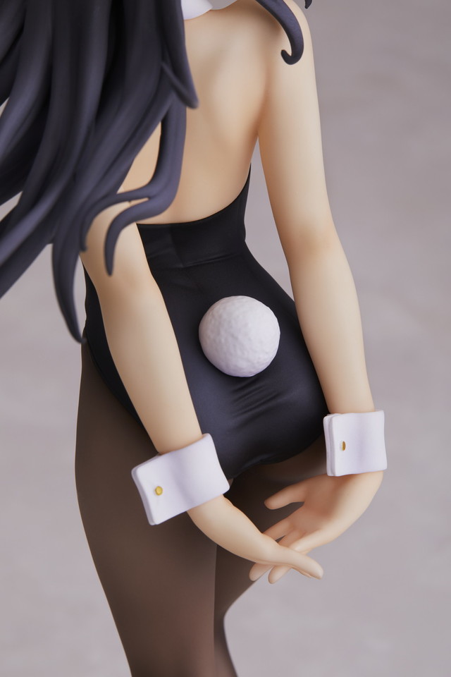 ©2018 鴨志田 一／ＫＡＤＯＫＡＷＡ　アスキー・メディアワークス／青ブタ Project