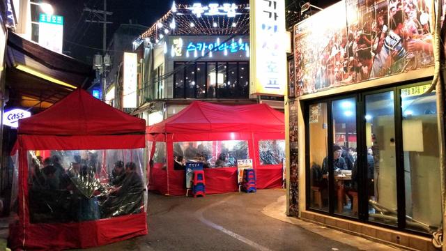 【ソウル乙支路3街】冬になると、ノガリ横丁にはテントの花が咲き、寒風に吹かれずに外飲み気分を味わうことができる