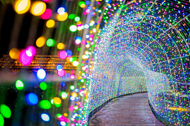 【ムーミン】タオル美術館のイルミネーション