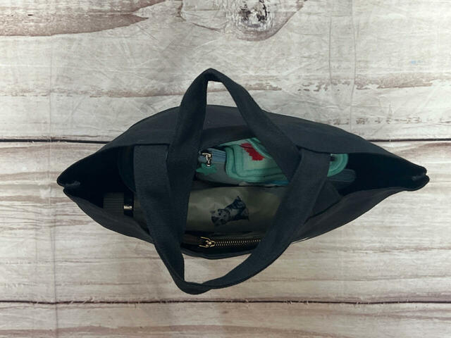 ランチトートにお出かけに必要なものを入れてみました