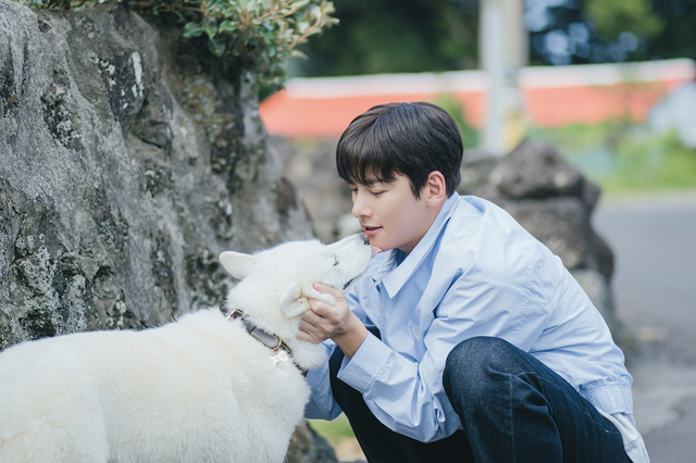 Netflixシリーズ『サムダルリへようこそ』独占配信中