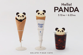 Hello！PANDA