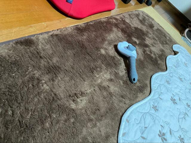 【SanMori ペット用ブラシ】遠くから見るとおもちゃみたい