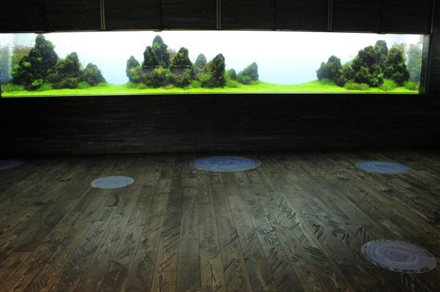 密にならないよう、床に鑑賞ポイントを示してあります。