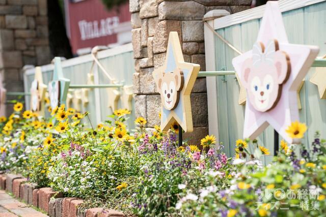 2023夏 ケープコッドデコレーション