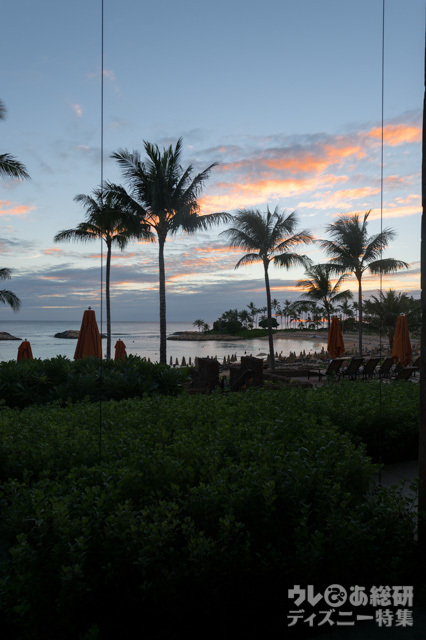 レストラン「アマアマ」|アウラニ・ディズニー・リゾート&スパ コオリナ・ハワイ